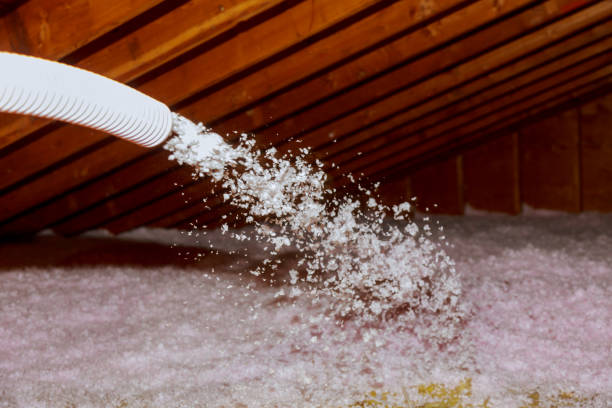 Best Spray Foam Insulation in Arroyo Grande, CA